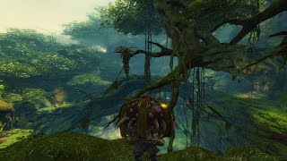 GW2  A Fungus Among Us Speedrun 057680 [upl. by Ewen]