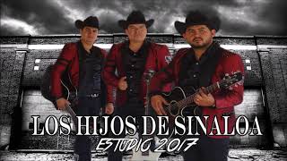 El BachocoLos Hijos De Sinaloa quotCORRIDOS 20172018quot [upl. by Sherurd]