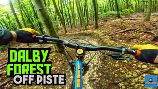 Dalby Forest Off Piste Amazing Trails Dodgy Conditions [upl. by Neirbo987]