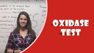 Oxidase Test [upl. by Nethsa]