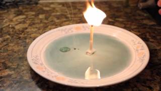 7 Simple Science Tricks With Household Items [upl. by Meill399]