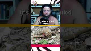 This Snake Eats Its Prey From The Inside Out [upl. by Alemaj]