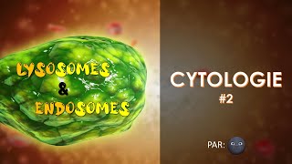 2 CYTOLOGIE  Les lysosomes et les endosomes par 🌚 [upl. by Akinwahs875]