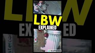 Leg Before Wicket LBW in Cricket Explained cricket lbw [upl. by Adiaroz111]