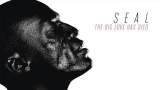 Seal  The Big Love Has Died AUDIO [upl. by Kwasi5]