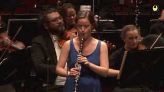 Wolfgang Amadeus Mozart Clarinet Concerto in A major K622 [upl. by Asusej]