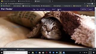 PetFinder  A Web App for Pet Adoption  Software Engineering Courses Project Demo 4 [upl. by Cates]