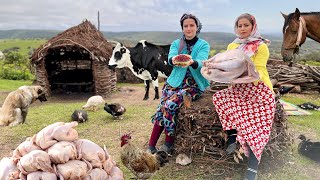 Nomadic Life in Iran Cooking Chickens and Stuffed Turkey In Scenic Mountains [upl. by Adelric]