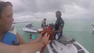 WaveRunner in Great Stirrup Cay [upl. by Temirf]