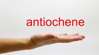 How to Pronounce antiochene  American English [upl. by Cock]