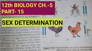 Class 12 biology chapter 5part 15sex determinationby study with Farru [upl. by Leryt835]