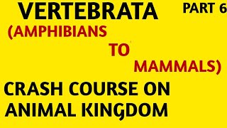 NCERTCrash CourseClass 11Animal KingdomTetrapodaAmphibians to Mammals Part6NEETAIIMS [upl. by Dranoc]