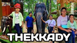 ThekkadyThekkady tourist placesThekkady tour guideTop places to visit in thekkady elephantsafari [upl. by Ahsienyt]