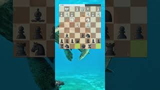 Opening turtle shell Kingside attack Sacrifice amp Queen trap necessarily chess chessskills [upl. by Newnorb]