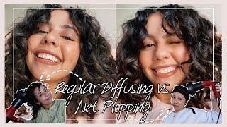 REGULAR CURLY HAIR DIFFUSING VS NET PLOPPING ON 2A3A WAVESCURLS how to diffuse wavy hair [upl. by Rodmun]