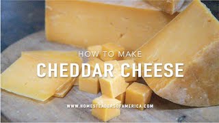 How to Make Cheddar Cheese [upl. by Terrene269]