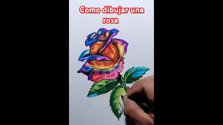 Como dibujar una rosa multicolor lapicesdecolores dibujo drawing [upl. by Yila]