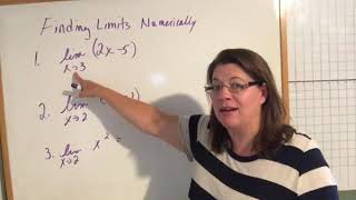 AP Calc 12 Defining Limits and Using Limit Notation [upl. by Ahsinhoj]