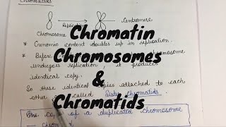 What is the difference between Chromatin chromosomes and chromatids [upl. by Sharl153]