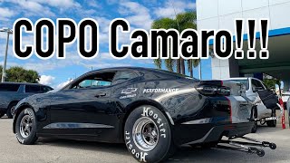 2020 Chevrolet Copo Camaro [upl. by Firmin]