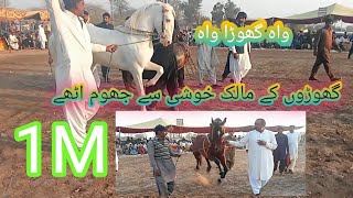 The owner of the horse jumped happily that horse wow punjabivlog63 [upl. by Agustin]