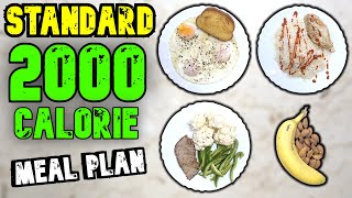 A Standard 2000 Calorie Meal Plan [upl. by Natal]