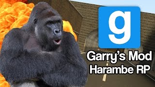 Memes Gmod Harambe RP [upl. by Droffig]