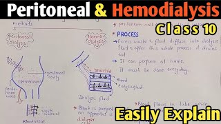 Dialysis  Peritoneal And Hemodialysis  Class 10 Biology [upl. by Aleakim]