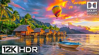 12K HDR 120fps Dolby Vision  The Best Relaxing Videos on YouTube [upl. by Duncan587]