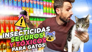 Cómo ACABAR CON INSECTOS 🦟 DE FORMA SEGURA ✅ en casas CON GATOS 🐱 Tierra de diatomeas aceites y [upl. by Aiek729]