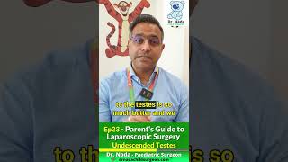 Ep23  Undescended Testes  Parents Guide to Paediatric Laparoscopic Surgery [upl. by Hickey]