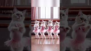 Piyari biliya kese dance krti hai😜 shorts dancingcatsy2r [upl. by Nytram]