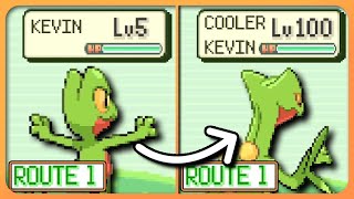 Pokemon Emerald Grinding to Lvl 100 on Route 1 [upl. by Aihtnic]