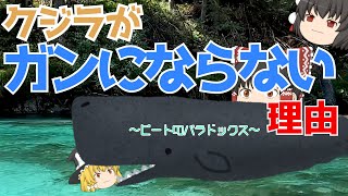 ピートのパラドックス【クジラはガンにならない】 [upl. by Heidie]