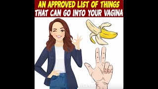 An Approved List of Things That Can Go Into Your Vagina [upl. by Cahra277]