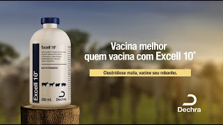 Vacina melhor quem vacina com Excell 10® [upl. by Kaufman877]