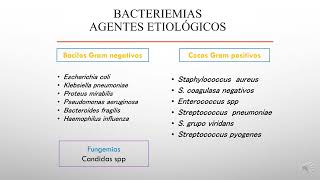 TEÓRICO BACTERIEMIAS  Prof Adjunta Dra Roxana Cannistraci  FCM  UNC [upl. by Groot]