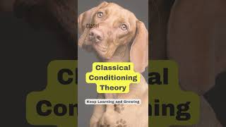 Classical conditioning theory instructionaldesign instructionaldesigners learningtheories IDs [upl. by Idoc]