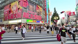 Walk in Shinjuku Tokyo Japan 8K 360° VR  Sep 2020 [upl. by Einiar743]