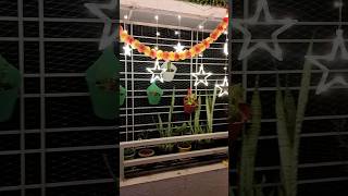 Pooja WagholiPune pooja dhirendrashow diwali youtubeshorts ytshorts shorts [upl. by Edrock]