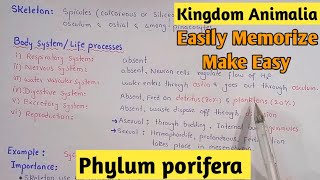 Phylum Porifera Characters And Classification Fully Explain In Hindi Urdu [upl. by Meridel]