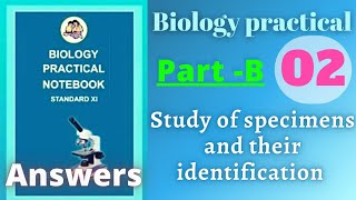 Study of specimens and their identification biology practical class 11 experiment 2 part b answers [upl. by Assilac372]