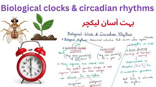 biological clock amp circadian rhythms  12 Class biology 2ndyearbiology [upl. by Skye]