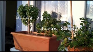 Biraz Şiir Biraz Şarkı 2 [upl. by Myrtle]