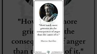 3 Amazing Quotes of Marcus Aurelius🔮✨ [upl. by Nonohcle438]