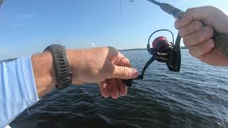 Panama City Florida flats fishing Tyndall area [upl. by Ankeny519]