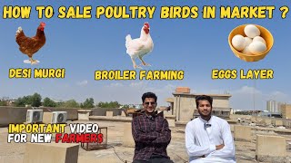 How to Sale Golden Misri Farming Broiler and Eggs is Market [upl. by Marten]