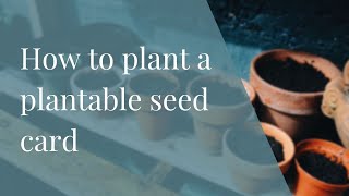 How to plant a plantable seed card [upl. by Laktasic]