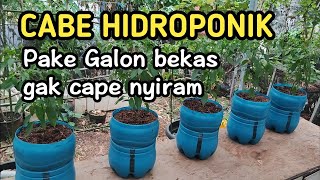 Part 1  Tanam cabe hidroponik menggunakan galon bekas tamankecilhidroponik [upl. by Dennis300]