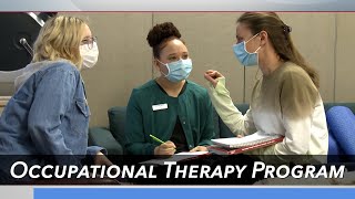 Carolina Impact Occupational Therapy Program [upl. by Guimond493]